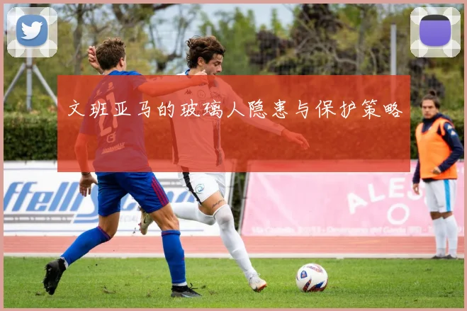 文班亚马的玻璃人隐患与保护策略