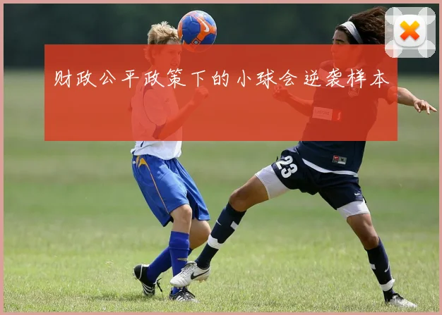 财政公平政策下的小球会逆袭样本