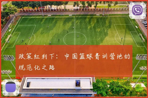 政策红利下：中国篮球青训营地的规范化之路